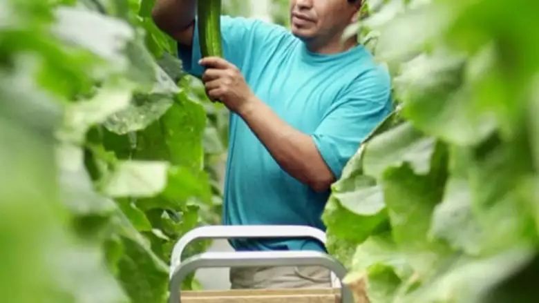 移民部准备今年开启农民工移民项目！