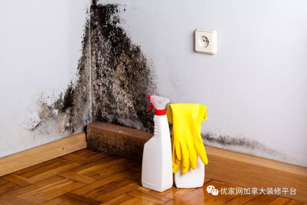 家里墙上出现霉菌斑如何解决