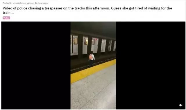 多伦多一男子跳下地铁站台奔跑！警察紧追不舍！