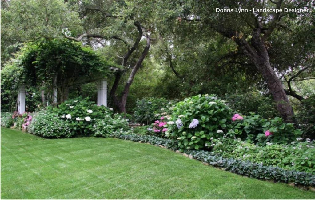 如果你是园艺小白，那么这10个管理花园的Tips一定要收藏好！
