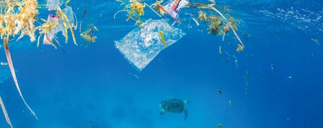 加拿大全国将于2021年禁止使用一次性塑料